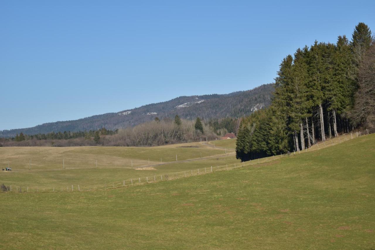 Hotel Le Meleze Moirans-en-Montagne Luaran gambar